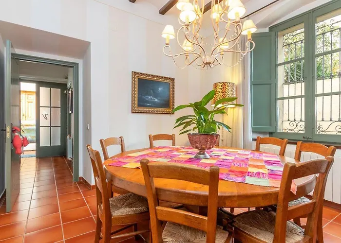 Oasis En El Centro De